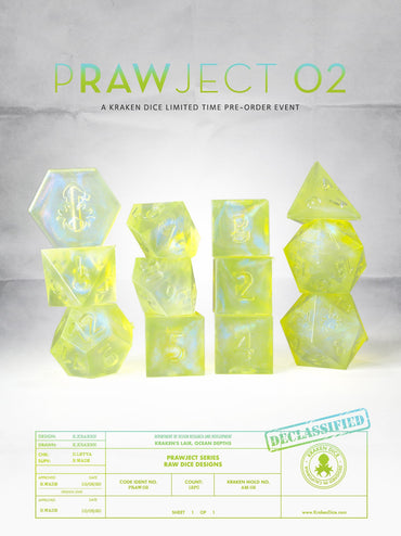 PRAWJECT:02  RAW RPG Dice Set