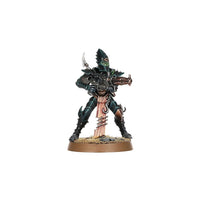 Combat Patrol: Drukhari