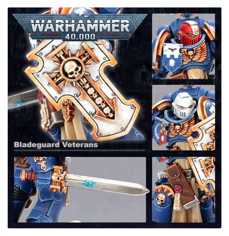 Space Marines: Bladeguard Veterans