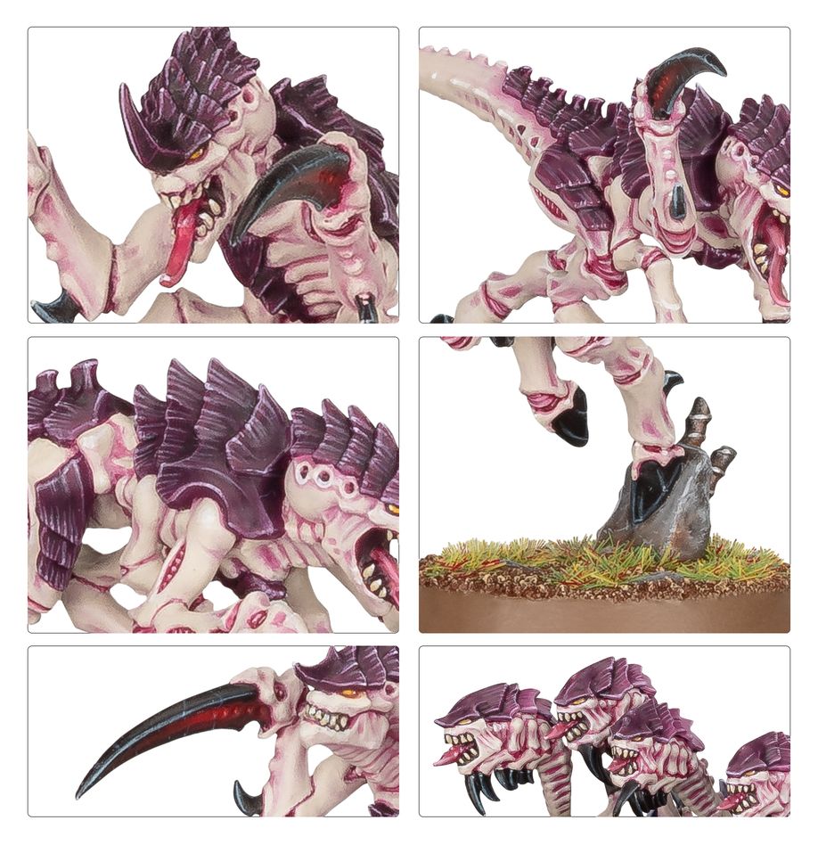 Warhammer 40K: Tyranids Hormagaunts