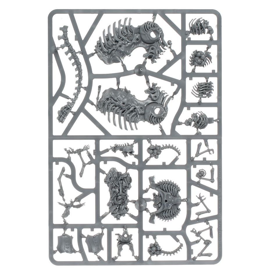Warhammer Age of Sigmar: Spearhead Ossiarch Bonereapers