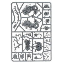 Warhammer Age of Sigmar: Spearhead Ossiarch Bonereapers