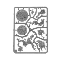 Age of Sigmar Spearhead: Seraphon Sunblooded Prowlers