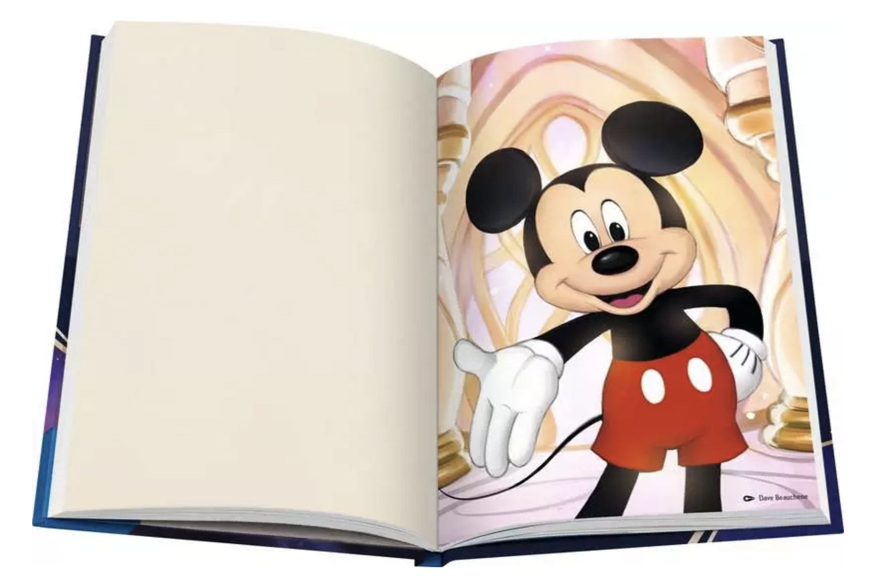 Disney Lorcana ロアブック 252枚収納 Amazon.com: Ravensburger Disney Lorcana TCG Portfolio featuring
