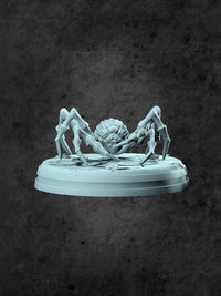 Many Eyes (Spider) Miniature for Tabletop RPGs